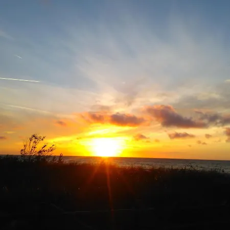 Sonata * Karwienskie Bloto Drugie