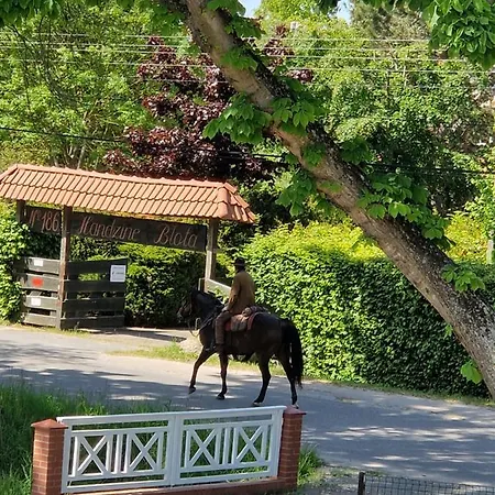 Sonata Karwienskie Bloto Drugie