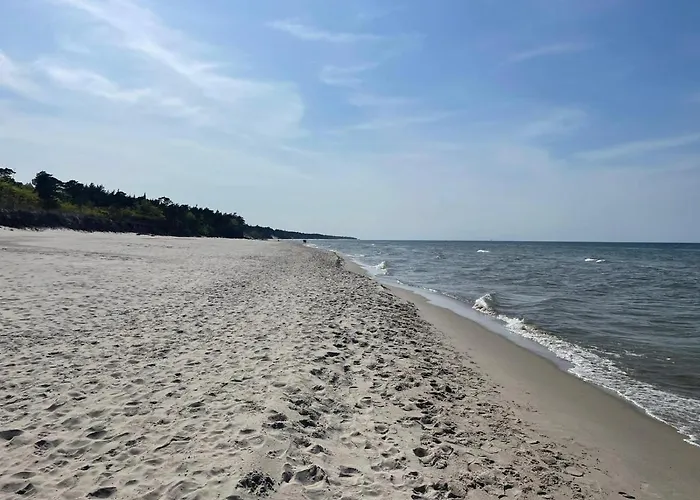 Sonata * Karwienskie Bloto Drugie