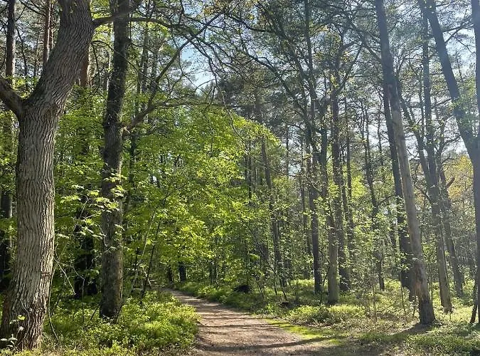 Sonata Lägenhet Karwienskie Bloto Drugie