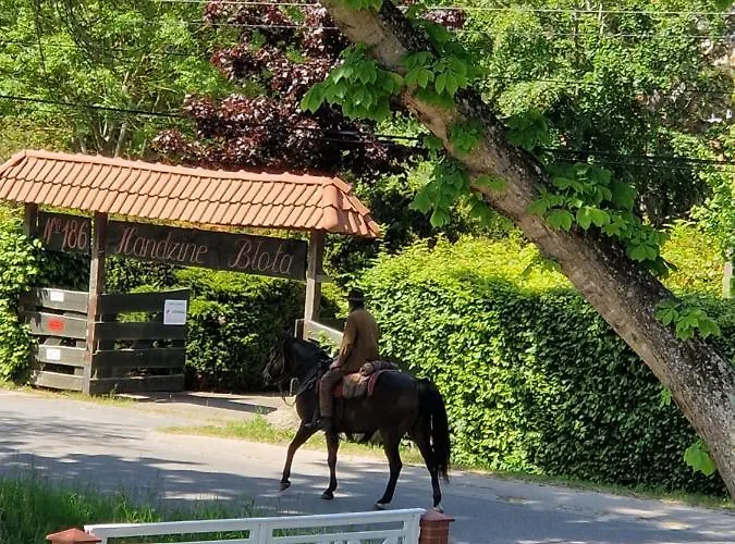Sonata Karwienskie Bloto Drugie